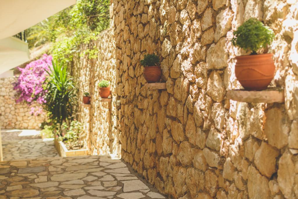 Althea Studios Lefkada Ayios Nikitas Bilik gambar